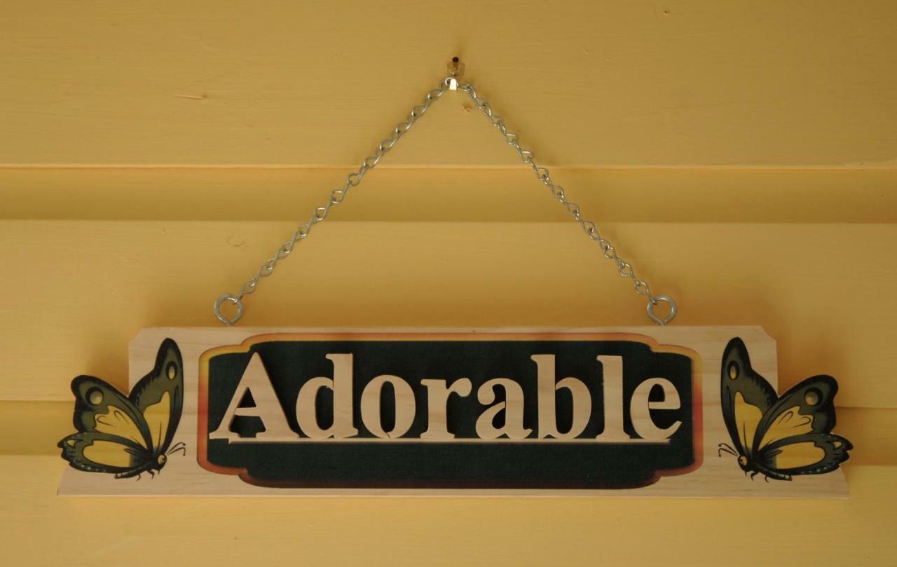 Adorable Historic Downtown Apartment St. Augustine Dış mekan fotoğraf